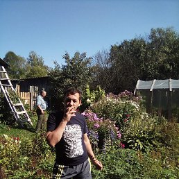 ���� �������, ���������, 54 ���� - ��������� 19 ����� 2026