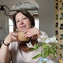 ���� �����, ���������, 52 ���� - ��������� 29 ����� 2026