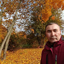 , 55, 
