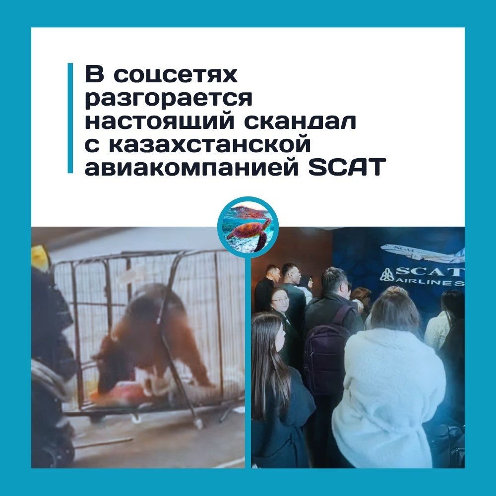 ���������� �������� ������������ � �������� ��������� � �������! � ���������� ����� ���������� ...
