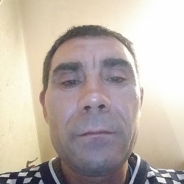 , , 46 