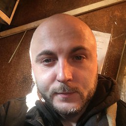 , 36 , 