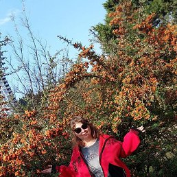 ����, ����, 28 ���