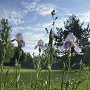 ���� �������, ������, 52 ���� - ��������� 2 ���� 2024 � ������ ���� ����������