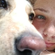 ����, , ��������