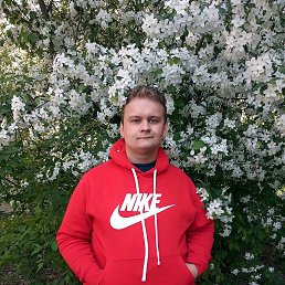  , 29, 