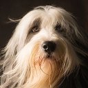 ���� ������, ������, 56 ��� - ��������� 19 ������� 2025 � ������ ������ ��������