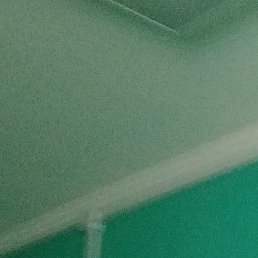 ��������, ����, 55 ���