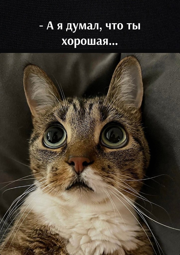      - 9  2024  16:34