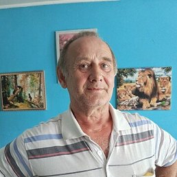 , 63, 