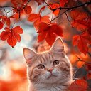 ���� �������, ������ - ��������� 7 ������ 2026 � ������ ������ ��������