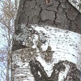 ������, ������, 56 ���