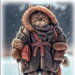 �����, ��������