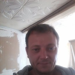 , 41, 