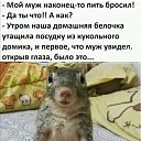 ���� ����, ���������, 53 ���� - ��������� 3 ������ 2025 � ������ ���� ����������