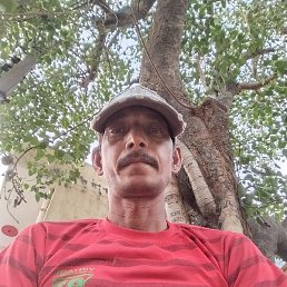 Mukesh Kumar, ���-����, 82 ����
