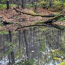 ������� ���� �� ������� ���� ����������