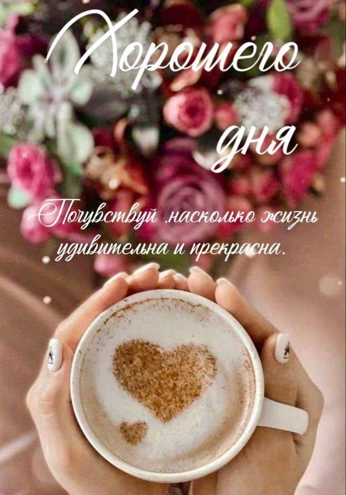   ,    . - 2  2025  15:04