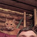 ���� �������, ����, 46 ��� - ��������� 28 ������� 2023