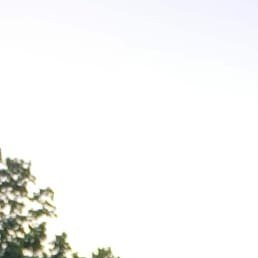 , , 20 