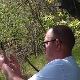 , 54, 