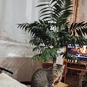 ���� ������, ���������� - ��������� 17 ������ 2025 � ������ ������ ��������