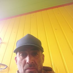 , 43, 