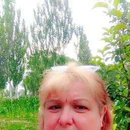 ���� ������ ������, ������, 43 ���� - ��������� 8 ���� 2025