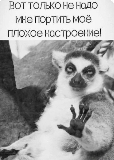 ***Victoria Viktorovna*** - 17  2024  03:28