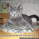 ���� ��������, ����� - ��������� 26 ������� 2024 � ������ ���� ����������