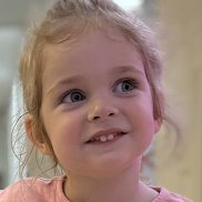 �����, 33 ����, ���������