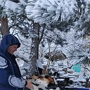 ���� ������, �����������, 52 ���� - ��������� 31 ����� 2026