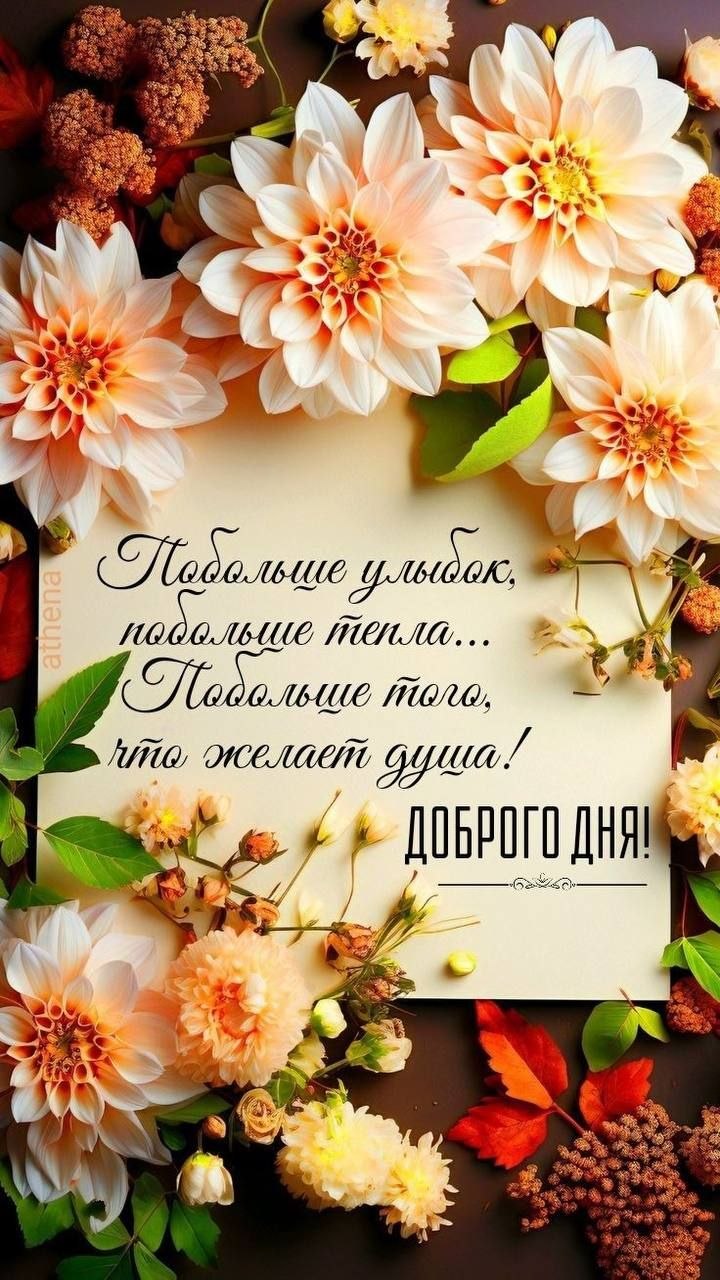 ***Victoria Viktorovna*** - 10  2024  10:44