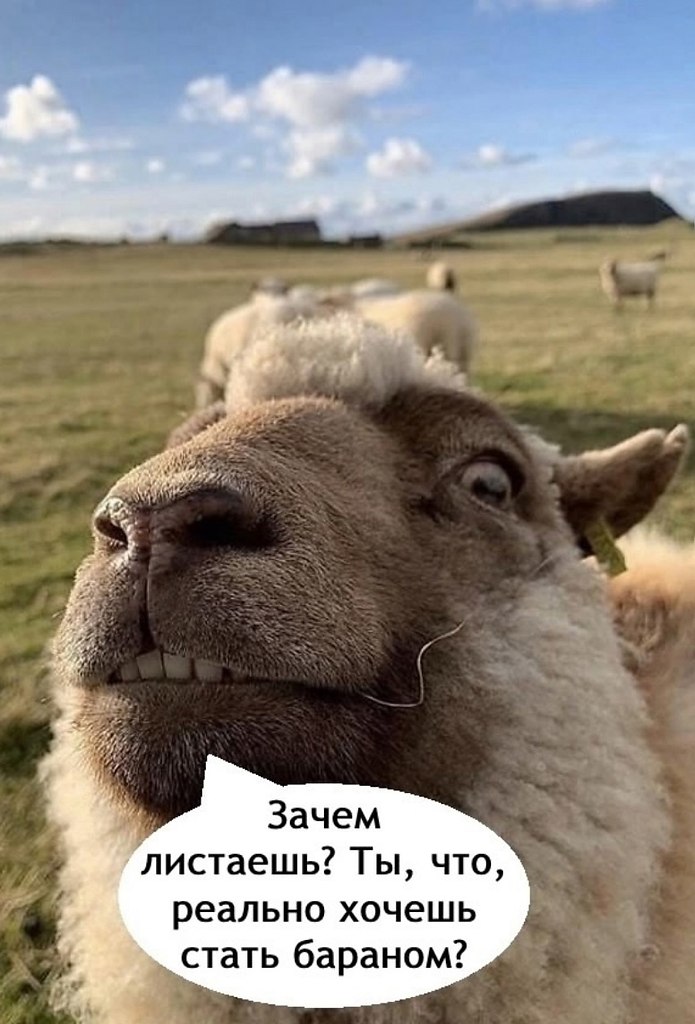   - 3