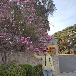 , 58, 