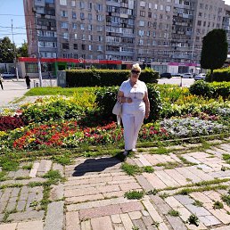 ���� ������, ������, 66 ��� - ��������� 18 ����� 2026