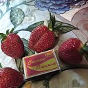 ���� ���� � �������� �� ���������� ..., ����� - ��������� 8 ��� 2025 � ������ ���� ����������