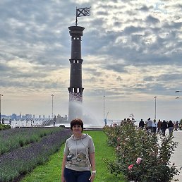 �����, ����