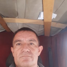 , 42 , 