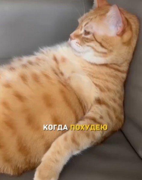 �� ���� �� � ���� ����� ����� ����
