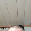 ���� ��������, ����, 44 ���� - ��������� 22 ����� 2026 � ������ ���� ����������