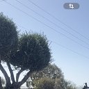 ���� Mikhail, �����, 48 ��� - ��������� 10 ������� 2025