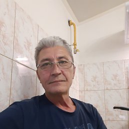 , 61, 