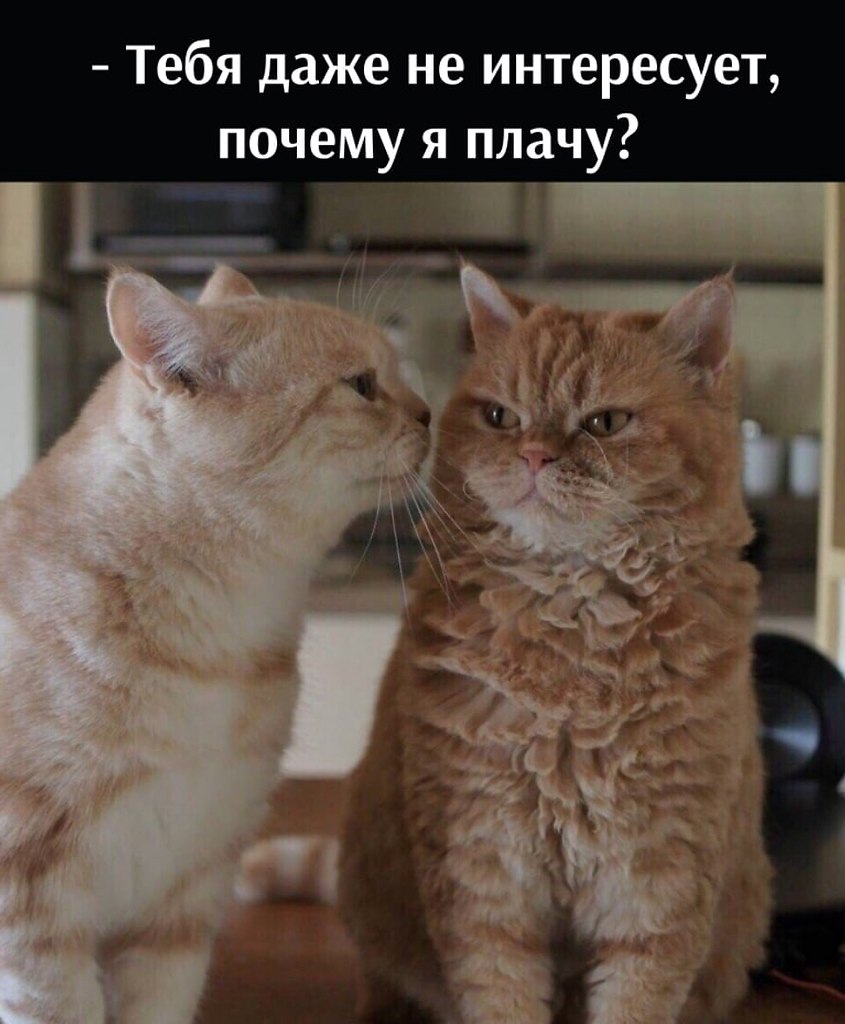       - 30  2025  12:40