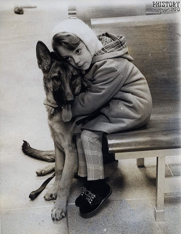 "������� ������". ������� ����� ��������� - ���������� ������ ��������� ...