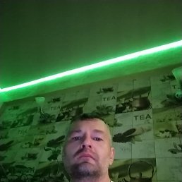 ����, 42 ����, �����������