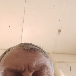  , , 51 