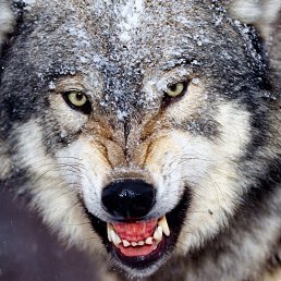 ���� �������, ������ ��������, 48 ��� - ��������� 10 ������� 2024