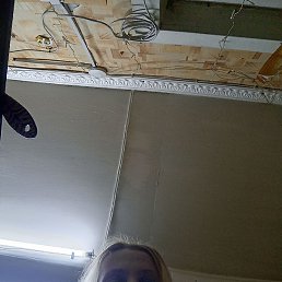 �������, ���������, 39 ���