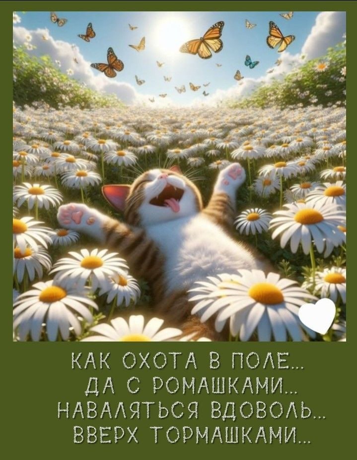   - 24  2025  15:02